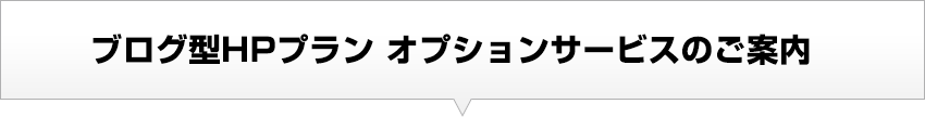 ブログ型HPプラン オプションサービスのご案内